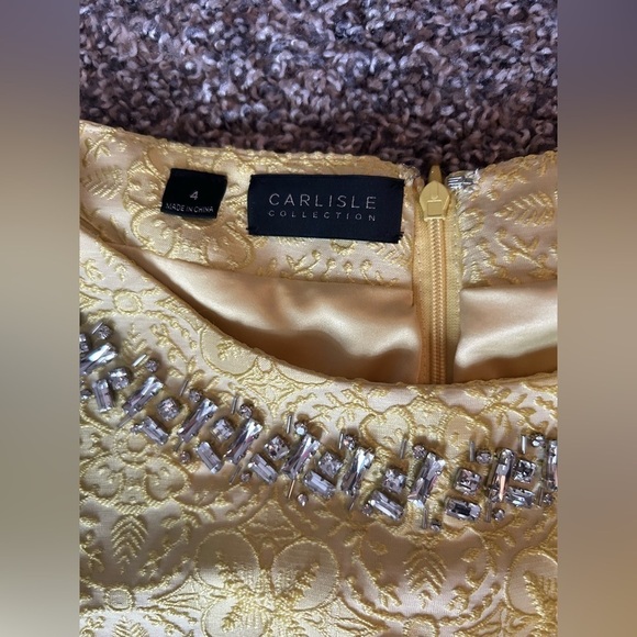 5/$25 Carlisle Collection formal drop skirt dress size 4 - Picture 11 of 13